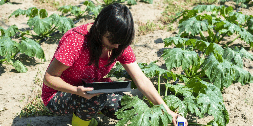 Utilisation d'un télémètre pour planifier l'irrigation