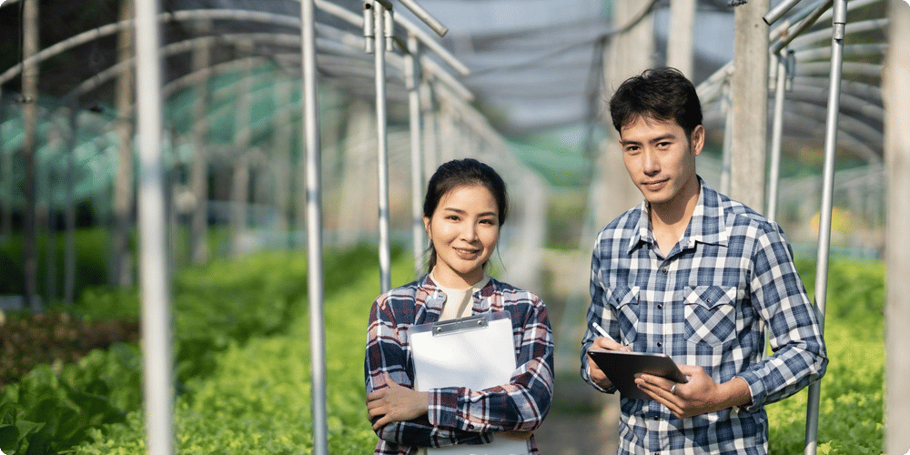 Comment fonctionne un télémètre de jardinage ?