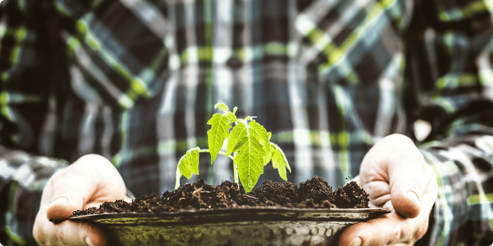 Les avantages d'utiliser un télémètre de jardinage