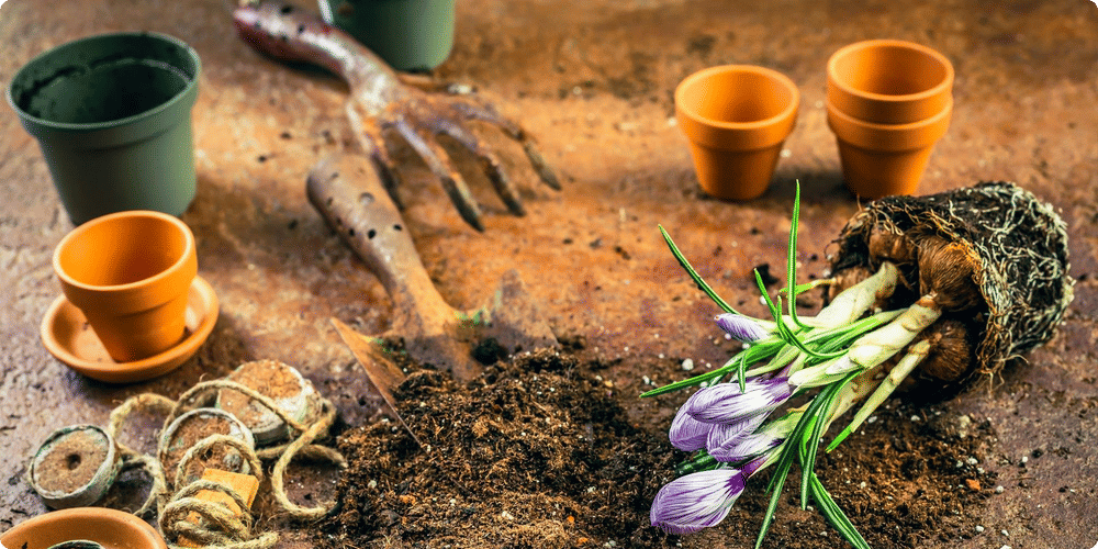 Les différentes applications dans le jardin