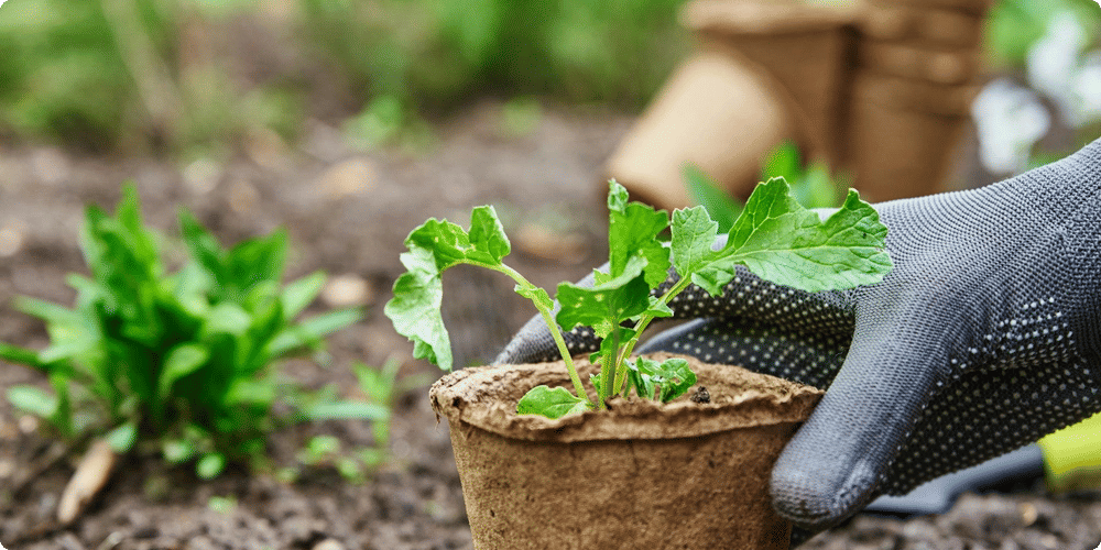 Qu'est-ce qu'un télémètre de jardinage ?