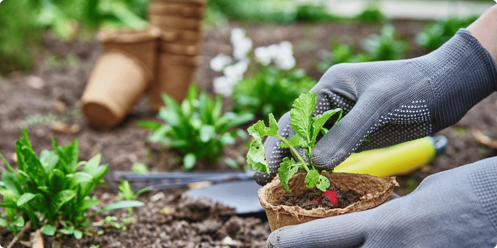 Avantages de l'utilisation d'un télémètre dans le jardin