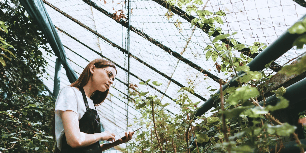 Découvrir les avantages des télémètres dans votre jardin